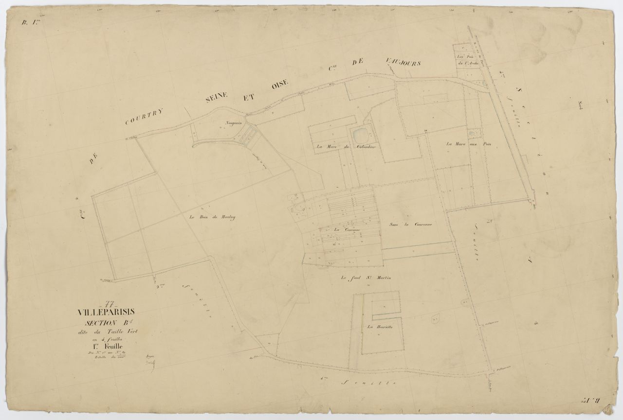 Section B1