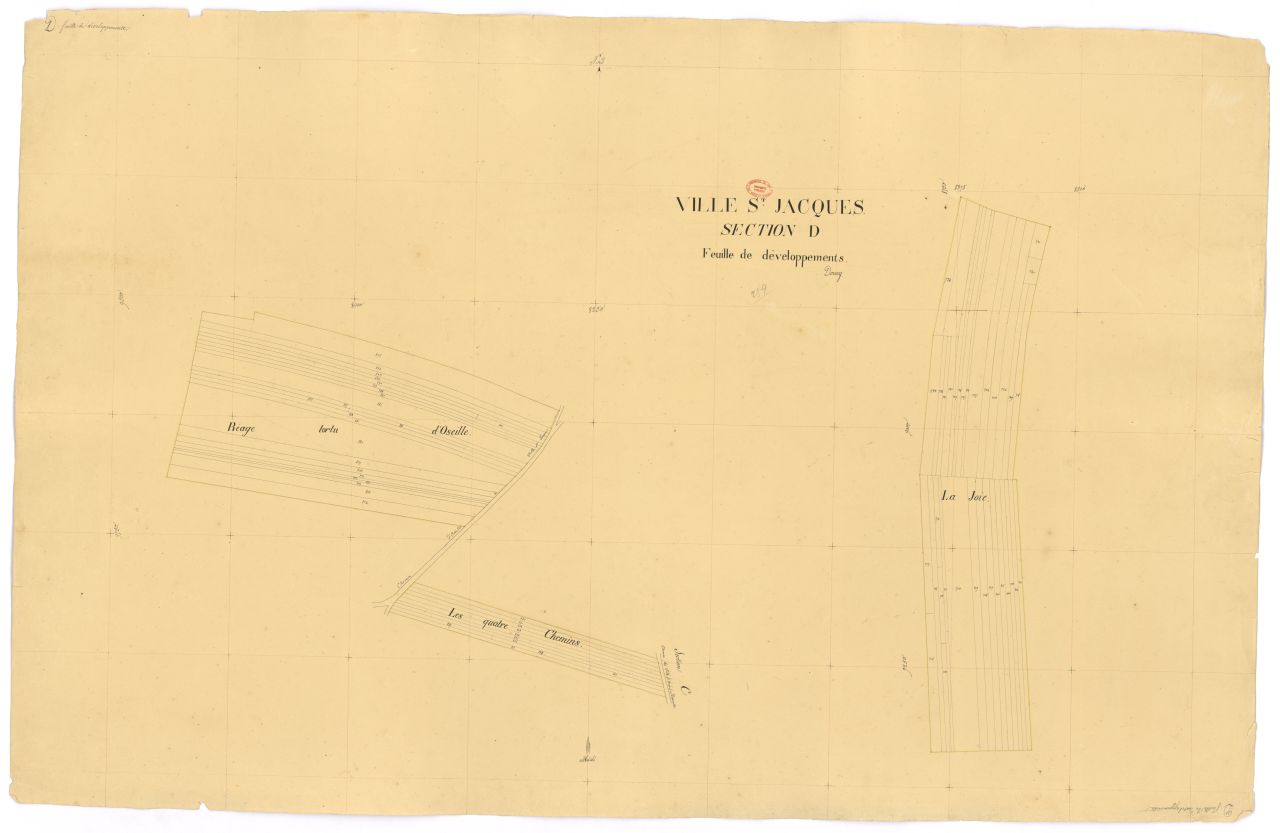 D�veloppement de la feuille unique de la section D