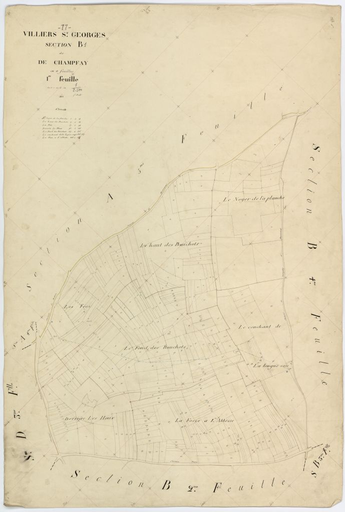 Section B1
