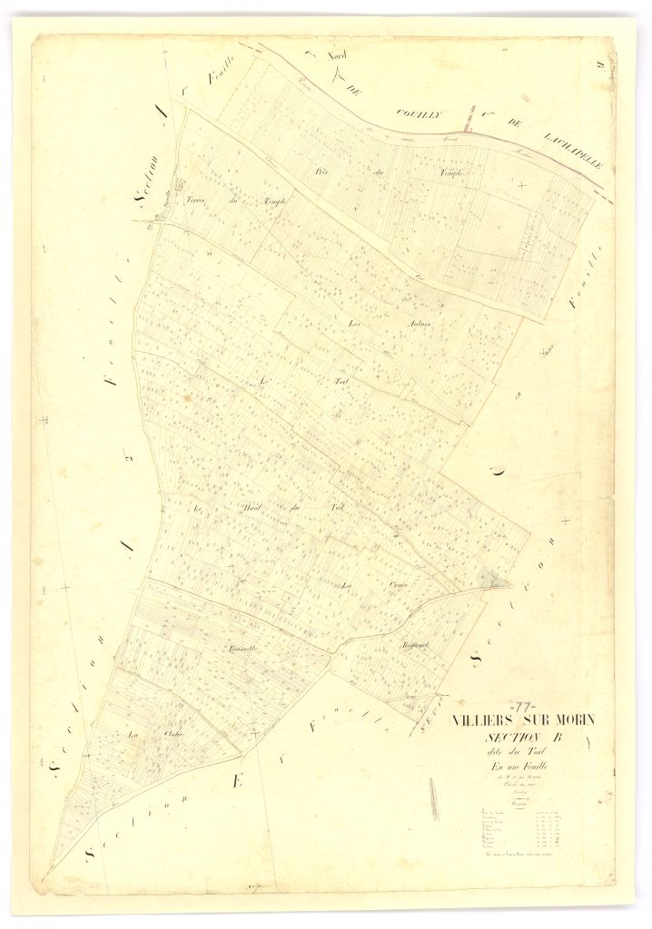 Section B