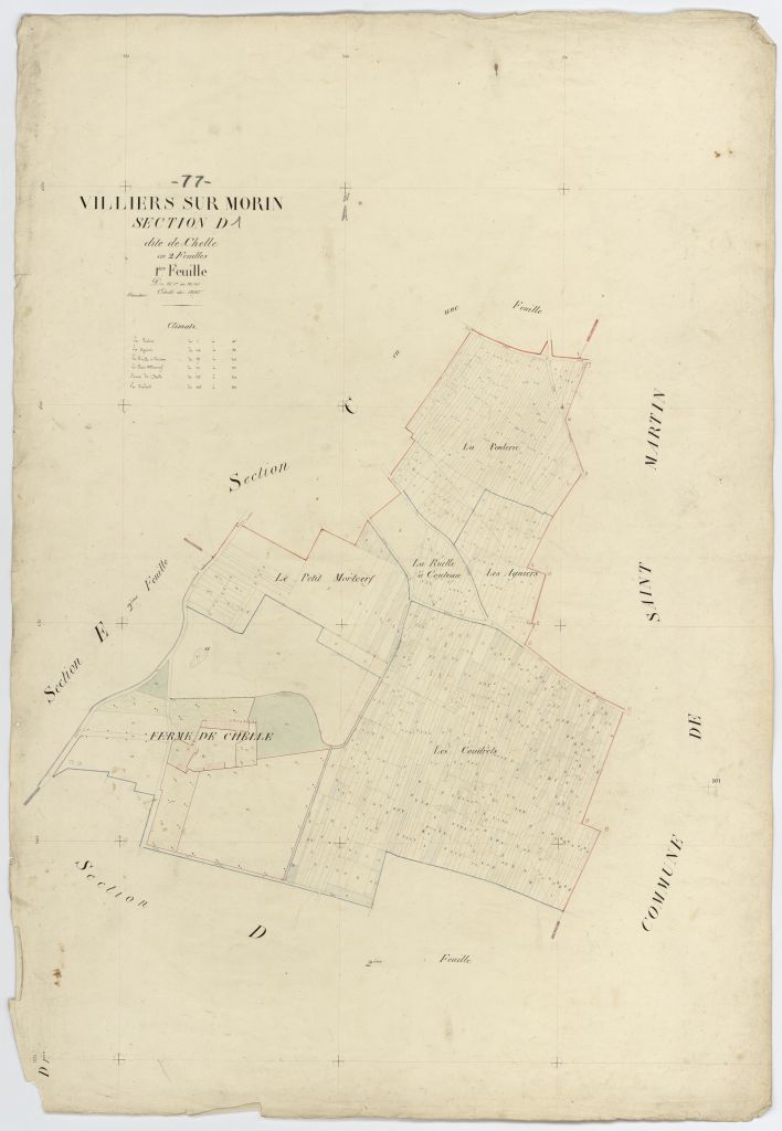 Section D1