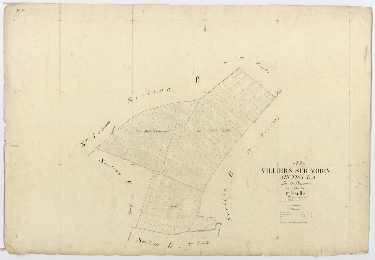 Section E1