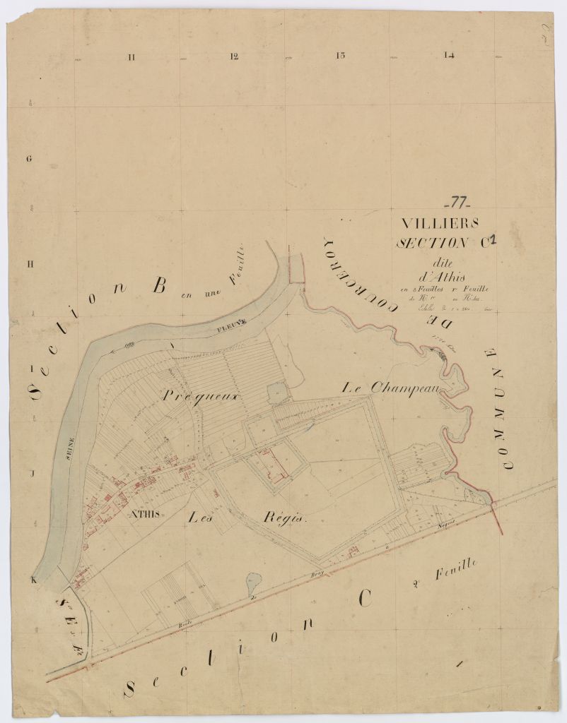 Section C1