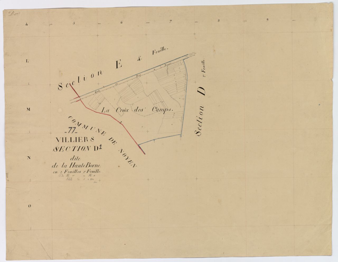 Section D1