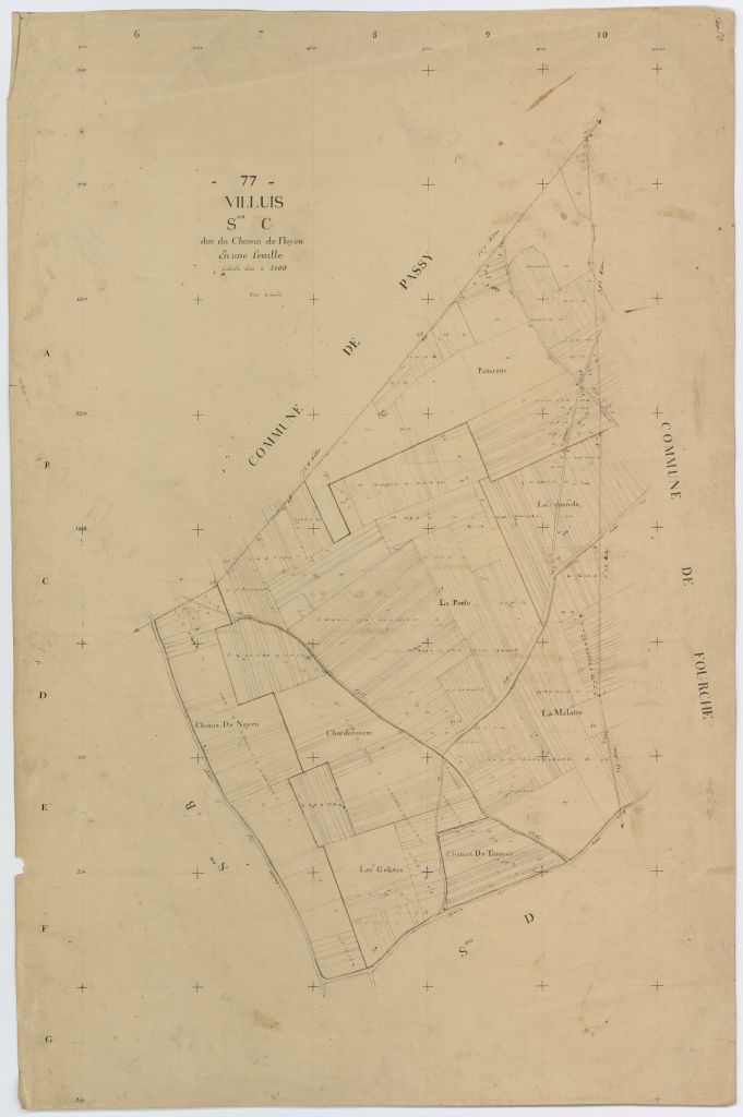 Section C1