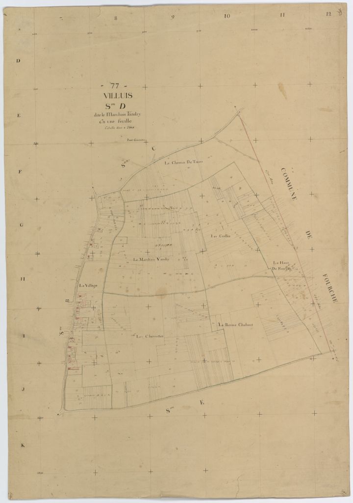 Section D1