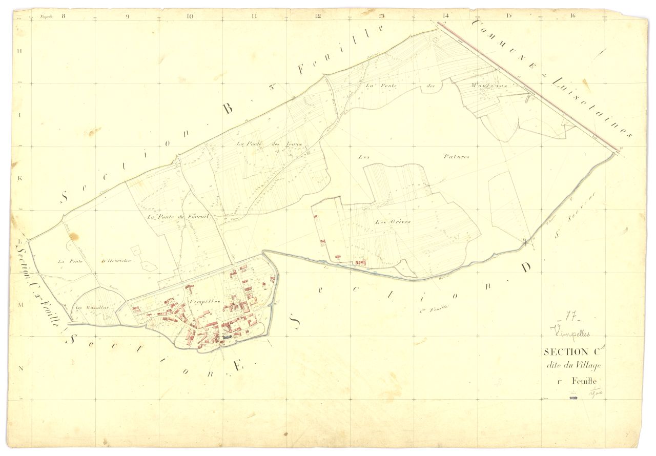 Section C1