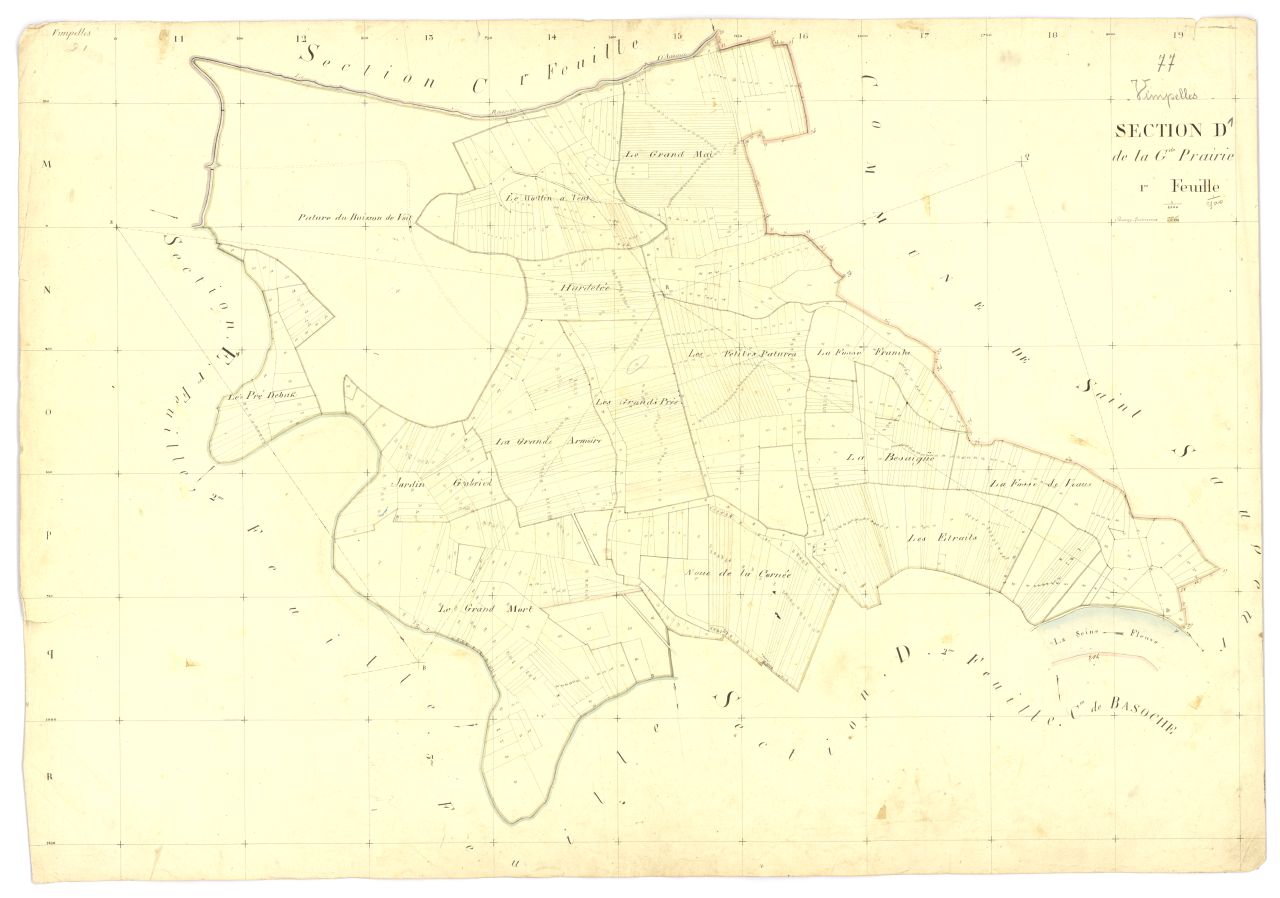 Section D1