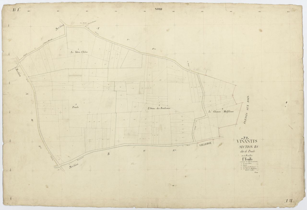 Section B1