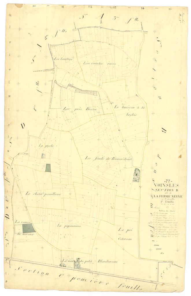 Section B1