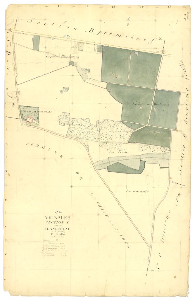 Section C1