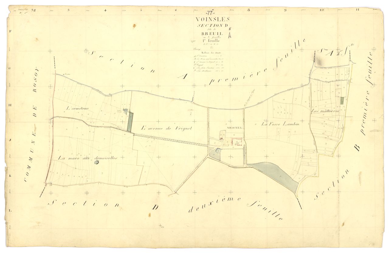 Section D1