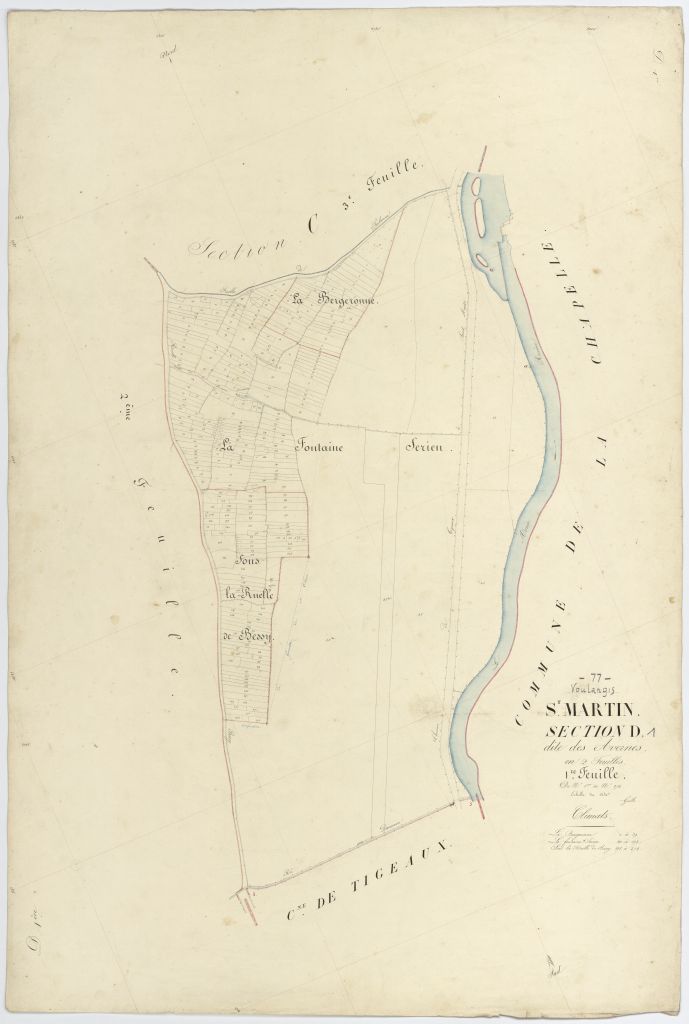 Section D1