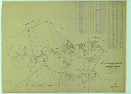 Boissy-Mauvoisin - Plans du cadastre remembré
