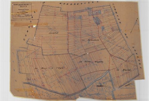 Flins-Neuve-Église - Plans du cadastre rénové