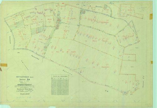 Mittainville - Plans du cadastre remembré