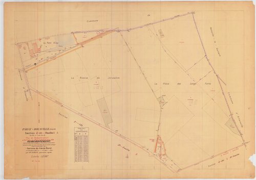 Paray-Douaville - Plans du cadastre remembré