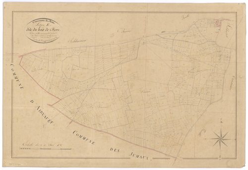 Airvault - FRAD079_CADASTRE_NAPOLEONIEN Section E2 dite du Bois de Borc 