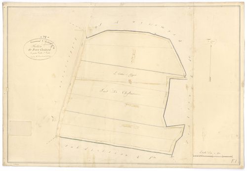 Aubigné - FRAD079_CADASTRE_NAPOLEONIEN Section F1 dite de Bois Giffard 