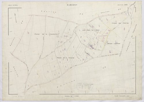 Aubigny - FRAD079_CADASTRE_RECENT Section AE 