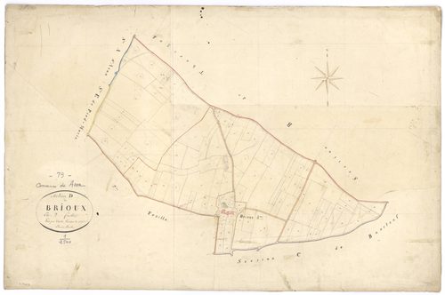 Avon - FRAD079_CADASTRE_NAPOLEONIEN Section D1 dite de Brioux 