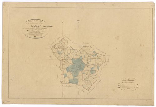 Beaulieu-sous-Parthenay - FRAD079_CADASTRE_NAPOLEONIEN Tableau d'assemblage 