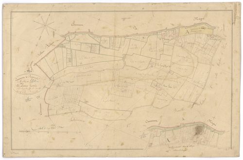 Bessines - FRAD079_CADASTRE_NAPOLEONIEN Section D1 dite de Pierre Levée 