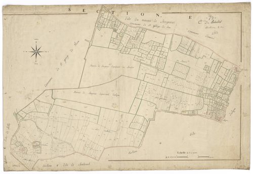 Le Bourdet - FRAD079_CADASTRE_NAPOLEONIEN Section E dite du Marais de Bergnier 