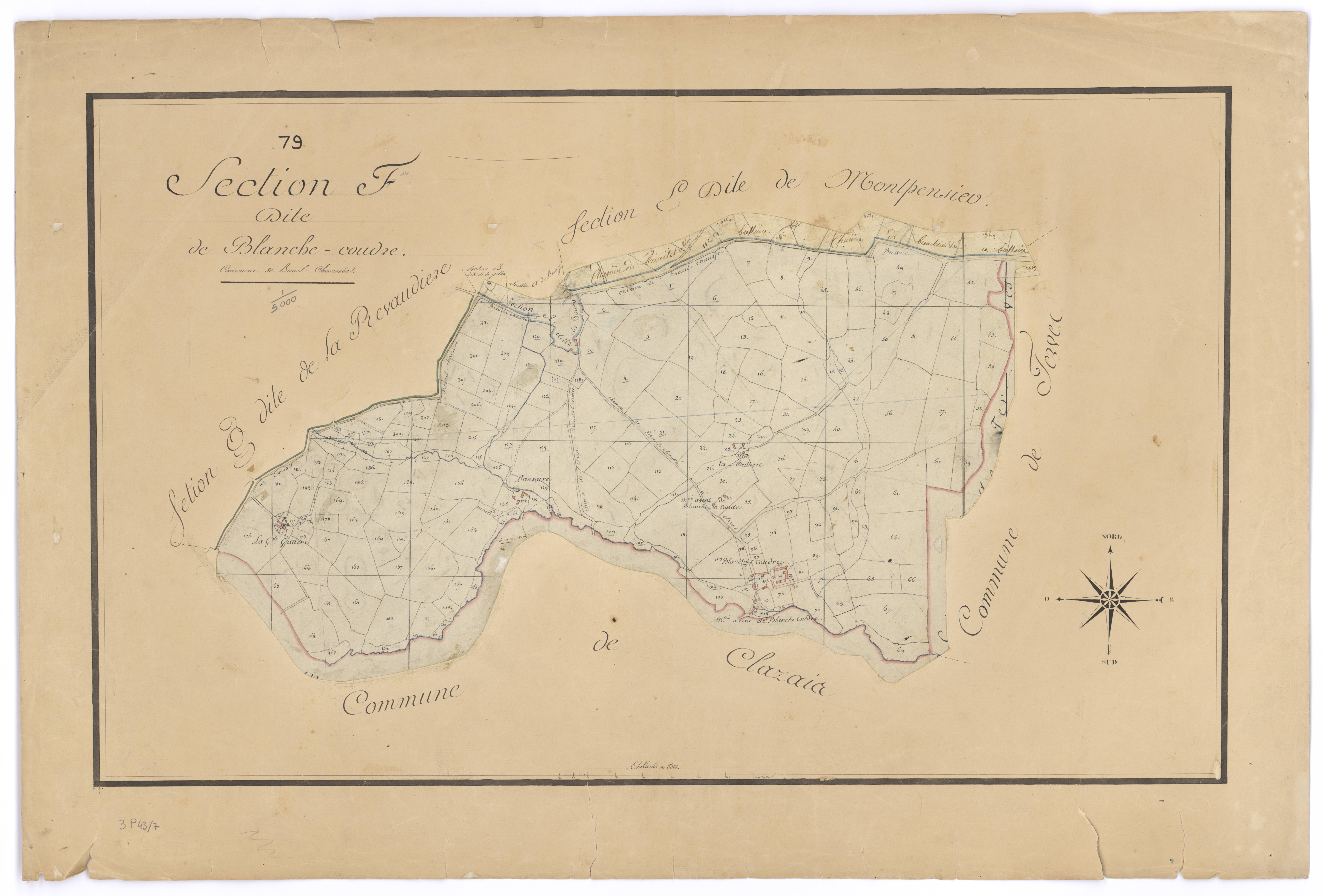 Bressuire - FRAD079_CADASTRE_NAPOLEONIEN Section F dite de Blanche-Coudre 