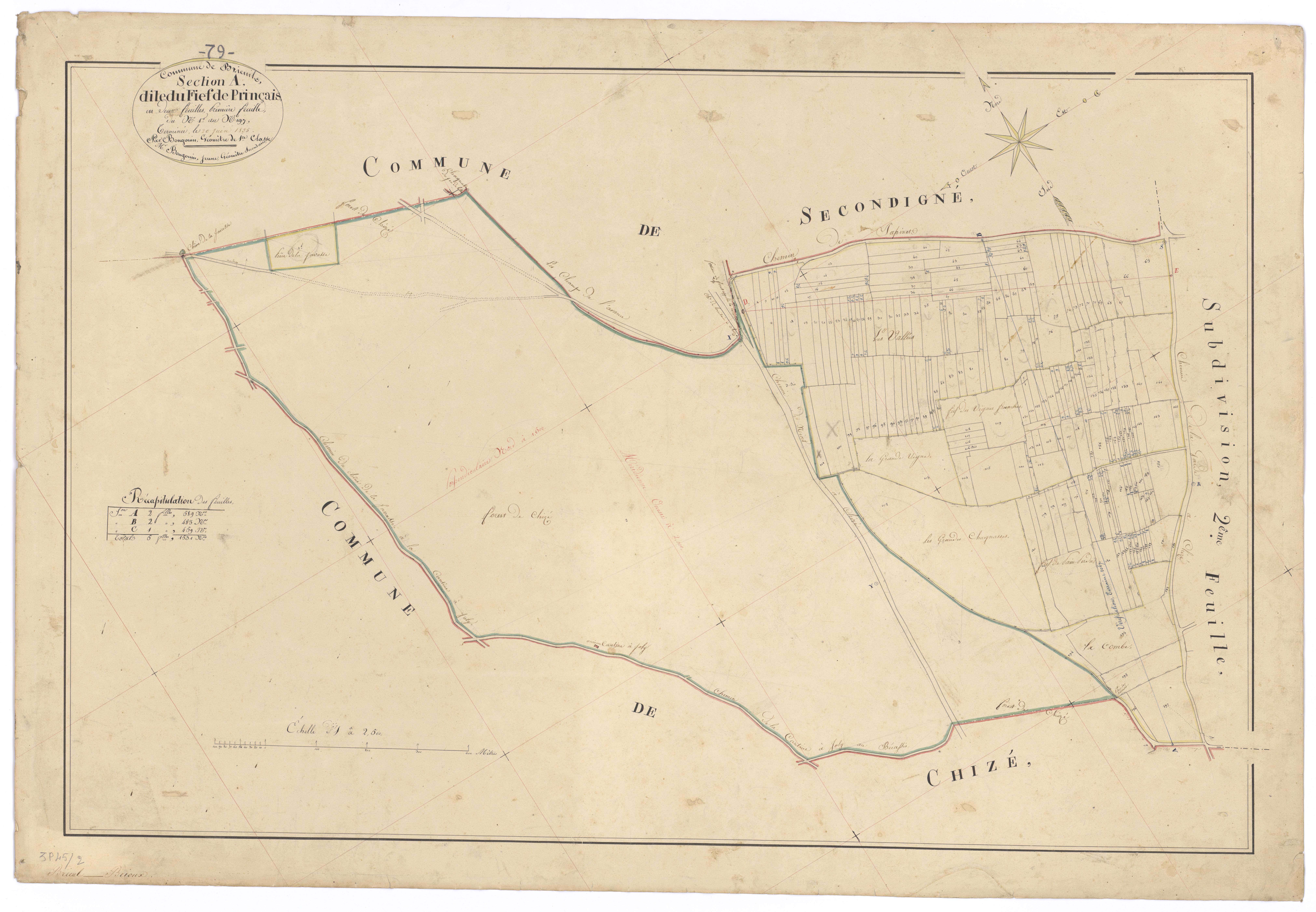 Brie - FRAD079_CADASTRE_NAPOLEONIEN Section A1 dite du Fief de Prinçais 