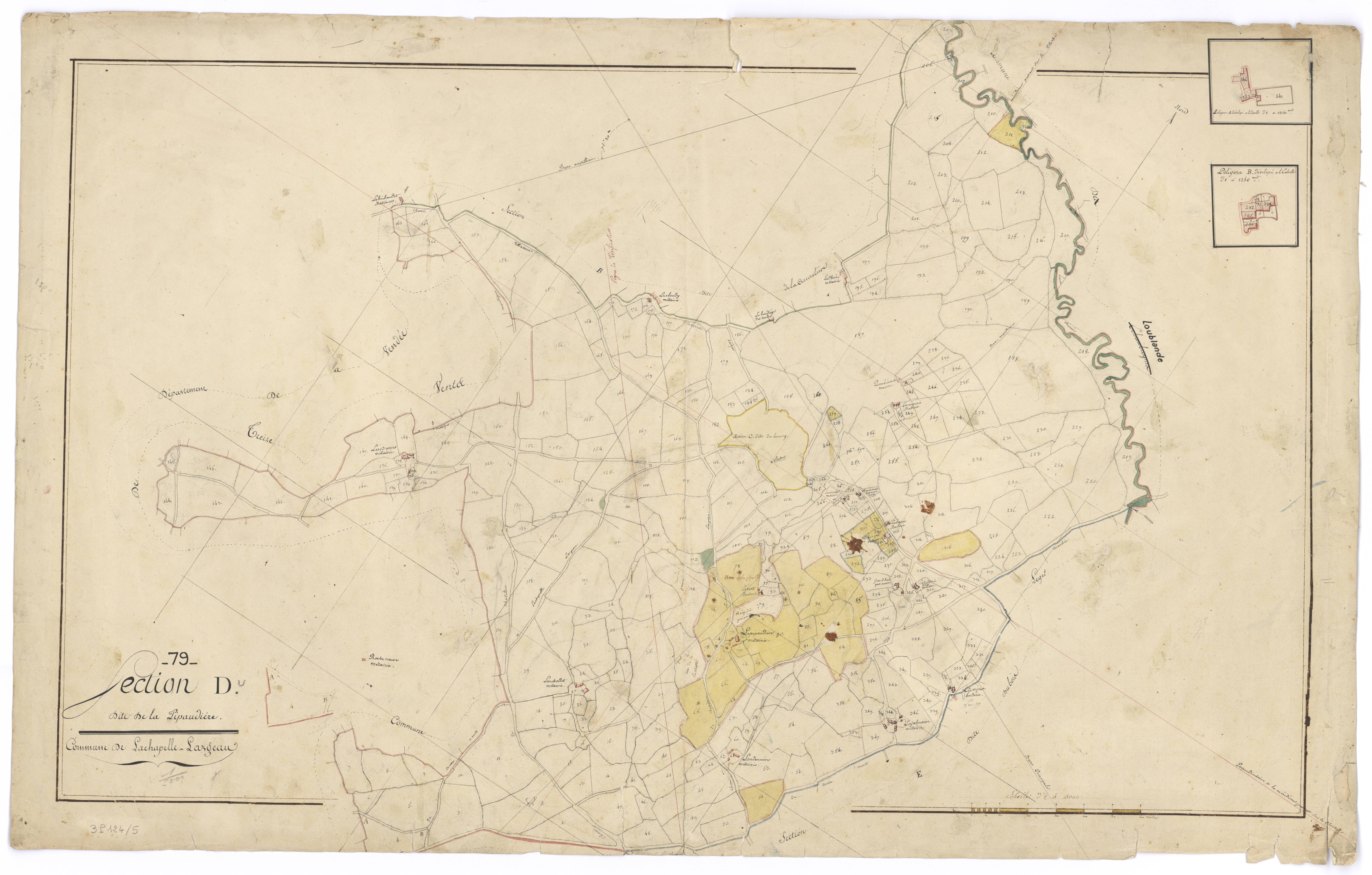 Mauléon - FRAD079_CADASTRE_NAPOLEONIEN Section D dite de la Pipaudière 