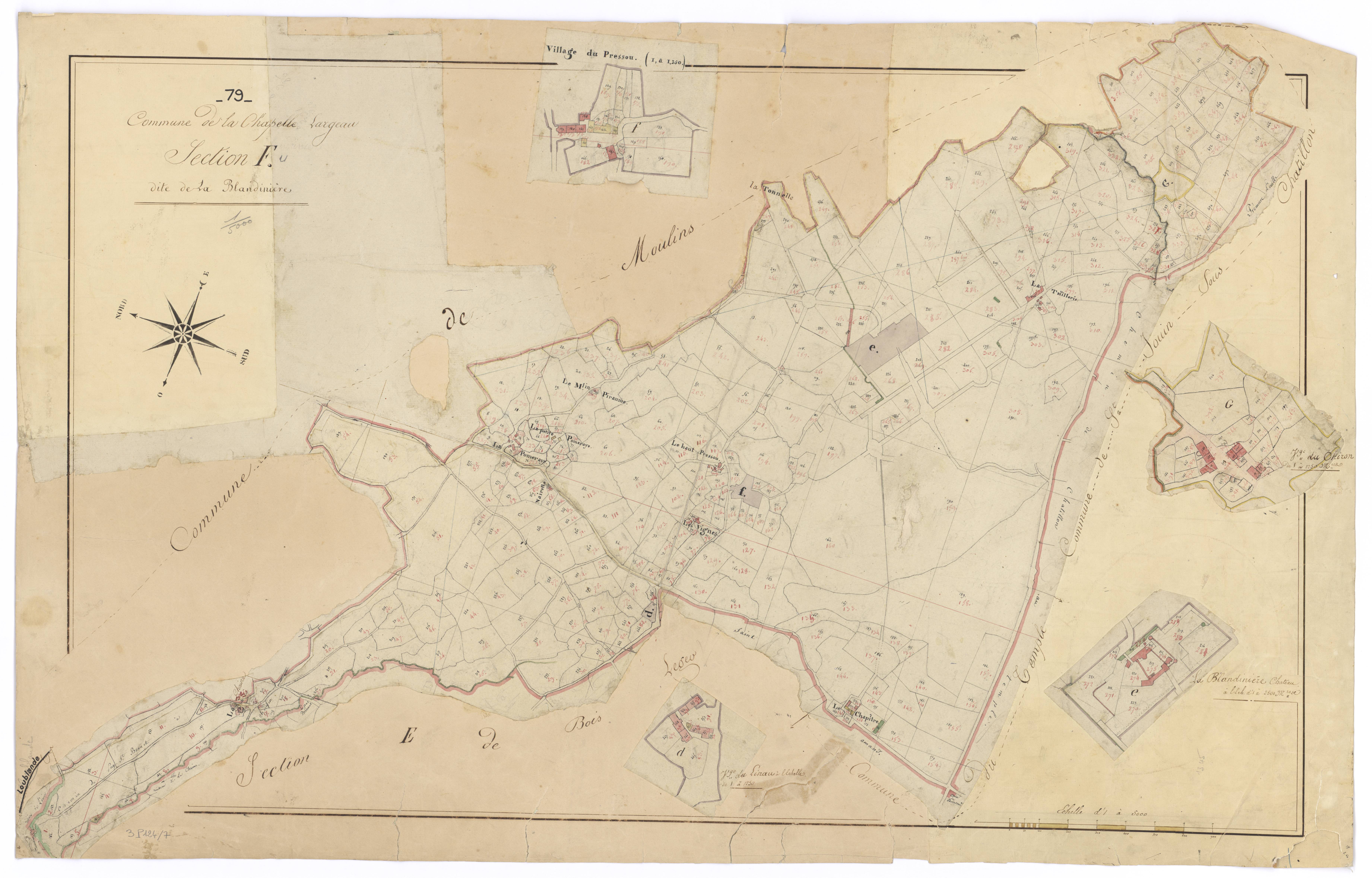 Mauléon - FRAD079_CADASTRE_NAPOLEONIEN Section F dite de la Blandinière