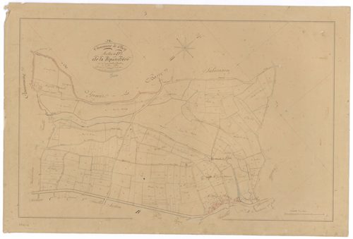 Chey - FRAD079_CADASTRE_NAPOLEONIEN Section D2 dite de la Ripaudière 