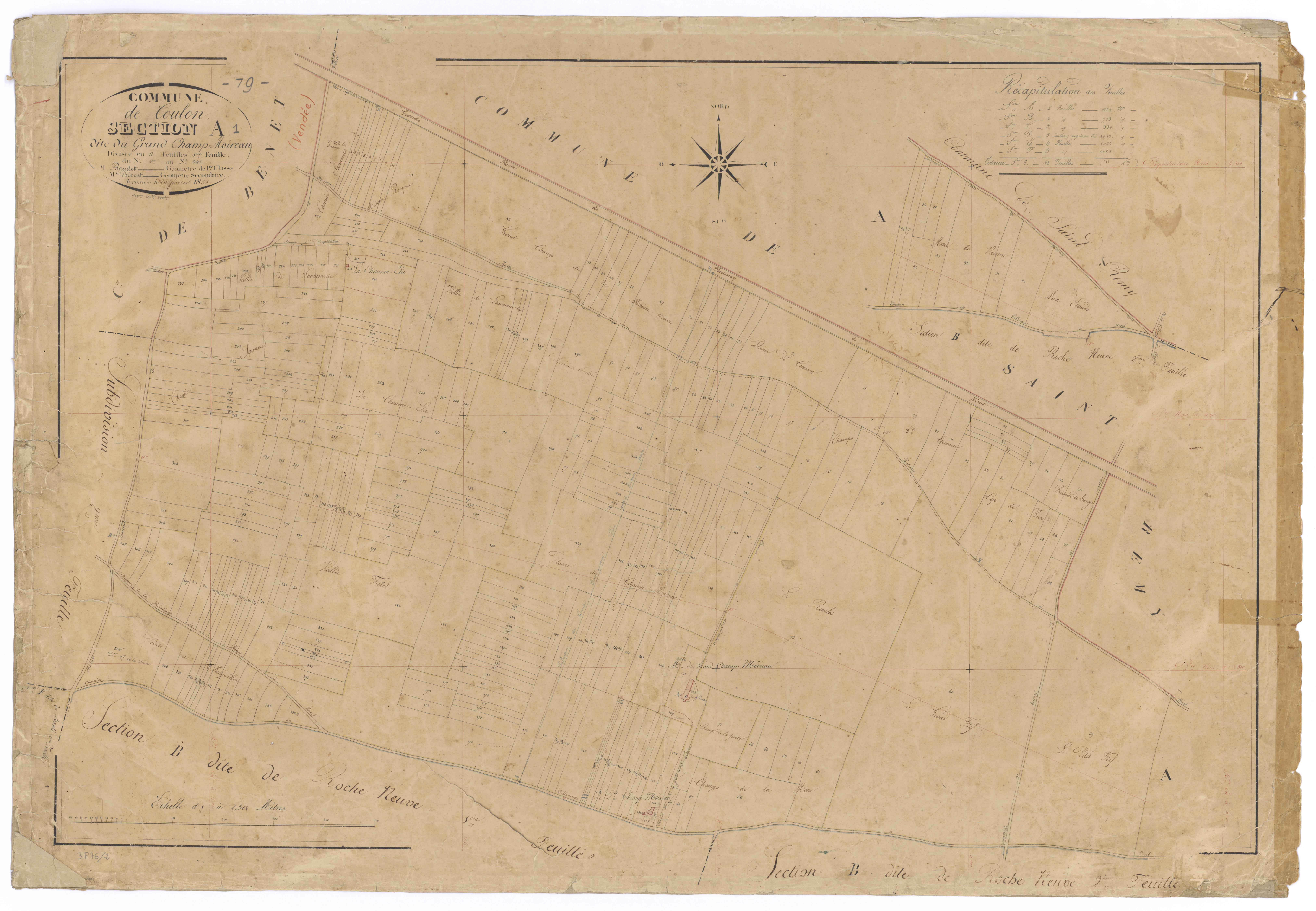 Coulon - FRAD079_CADASTRE_NAPOLEONIEN Section A1 dite du Grand Champ Moireau 