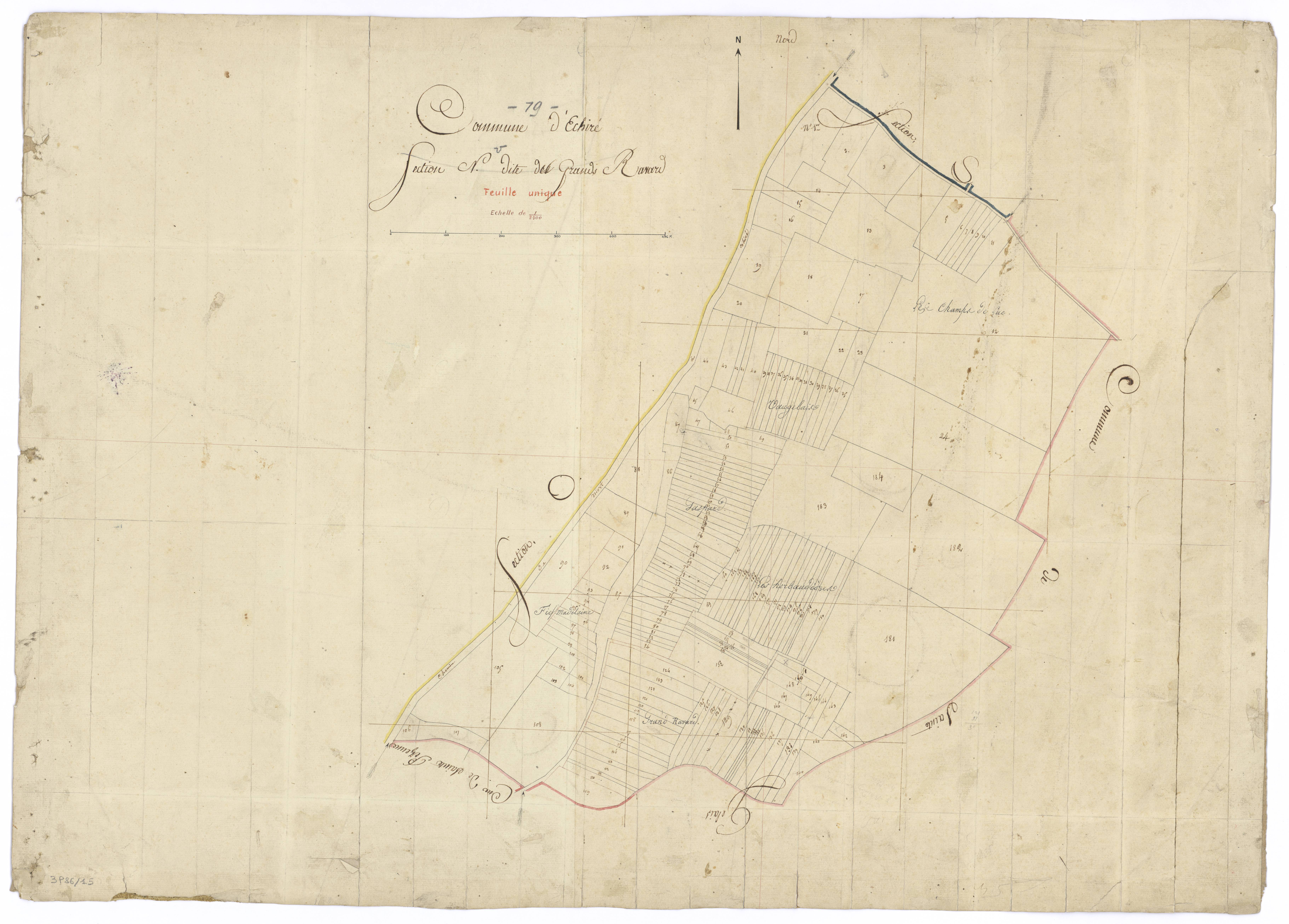 Échiré - FRAD079_CADASTRE_NAPOLEONIEN Section N dite du Grand Ravard 