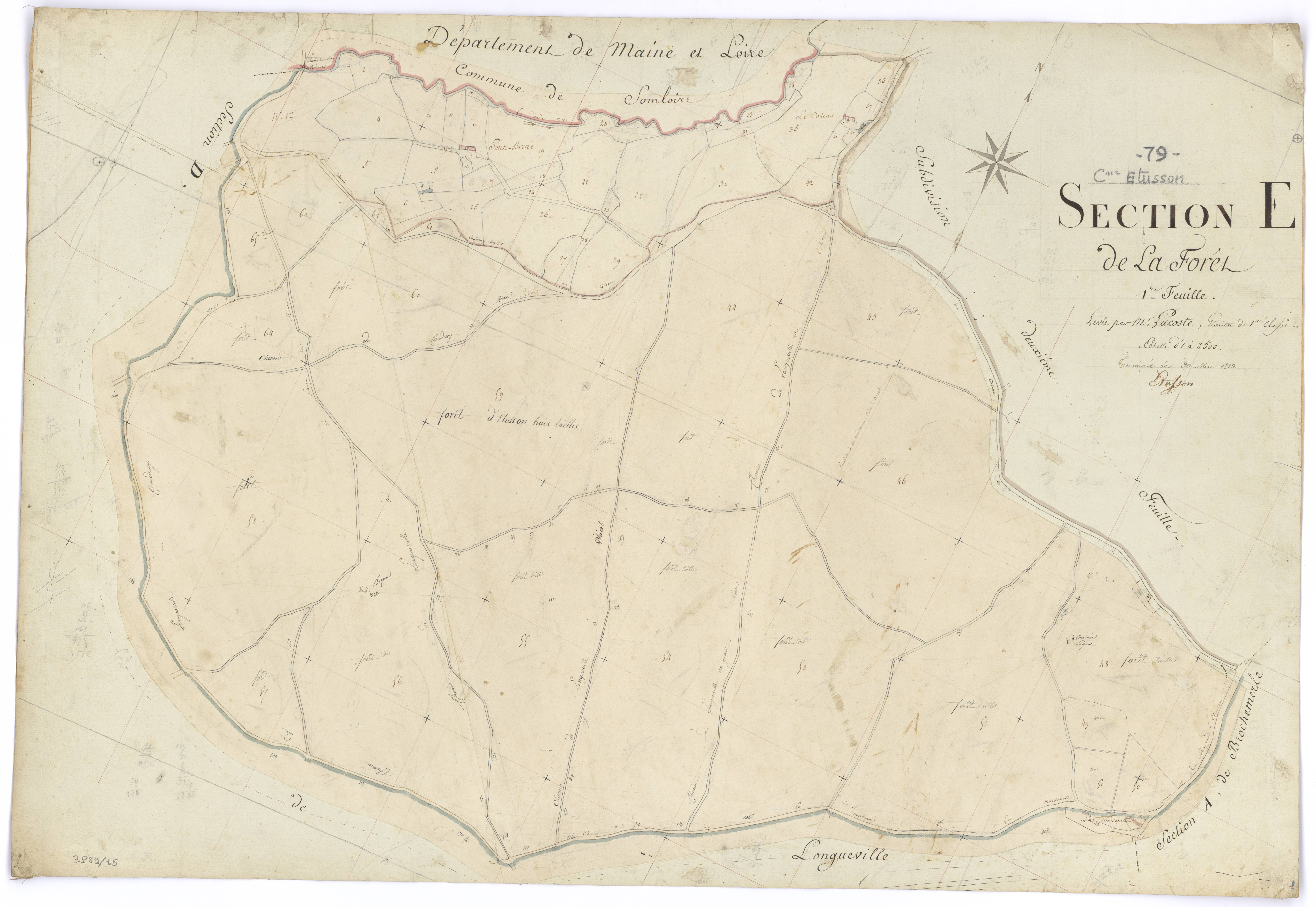 Étusson - FRAD079_CADASTRE_NAPOLEONIEN Section E1 dite de la Forêt