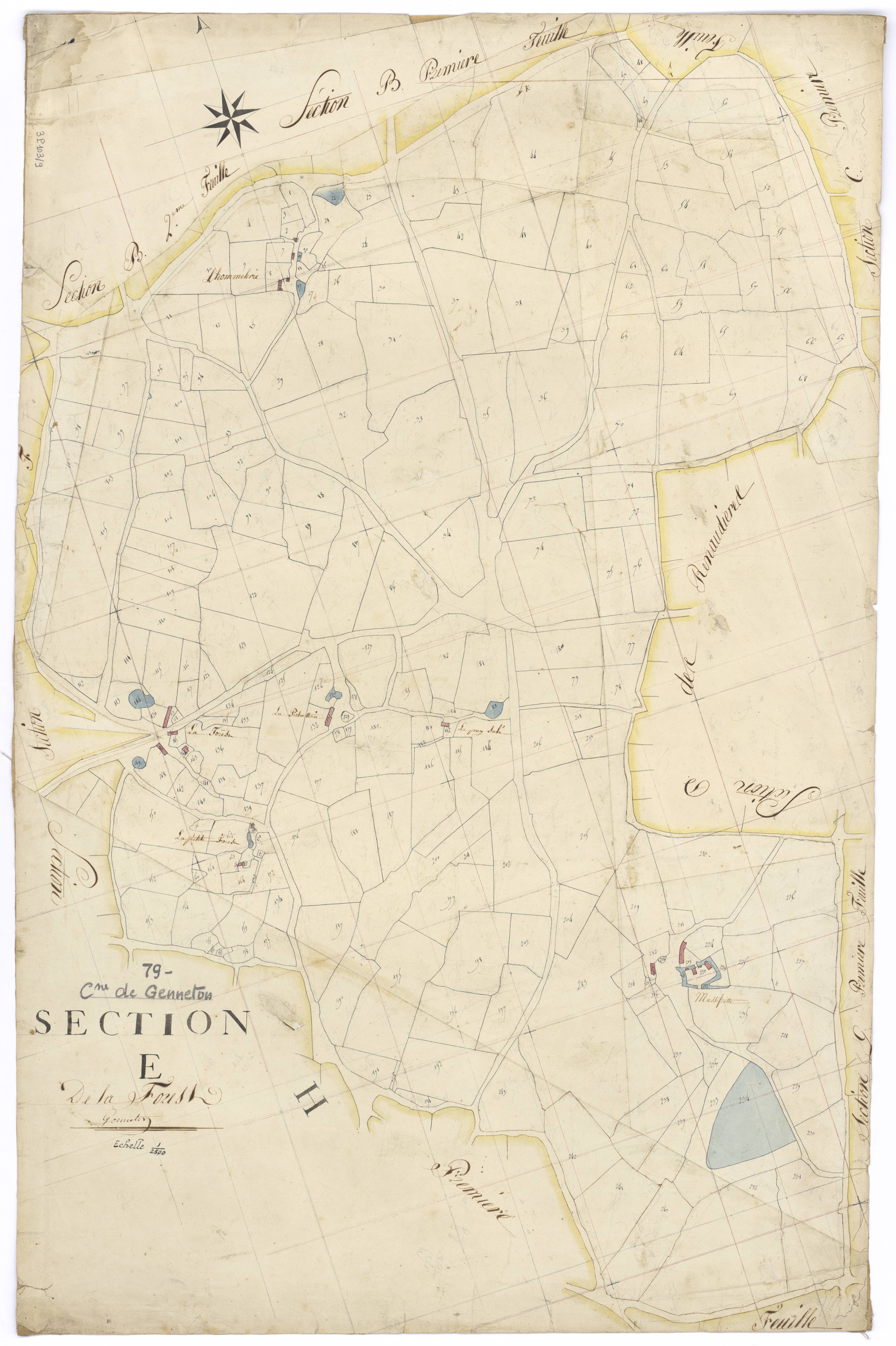 Genneton - FRAD079_CADASTRE_NAPOLEONIEN Section E dite de la Forest