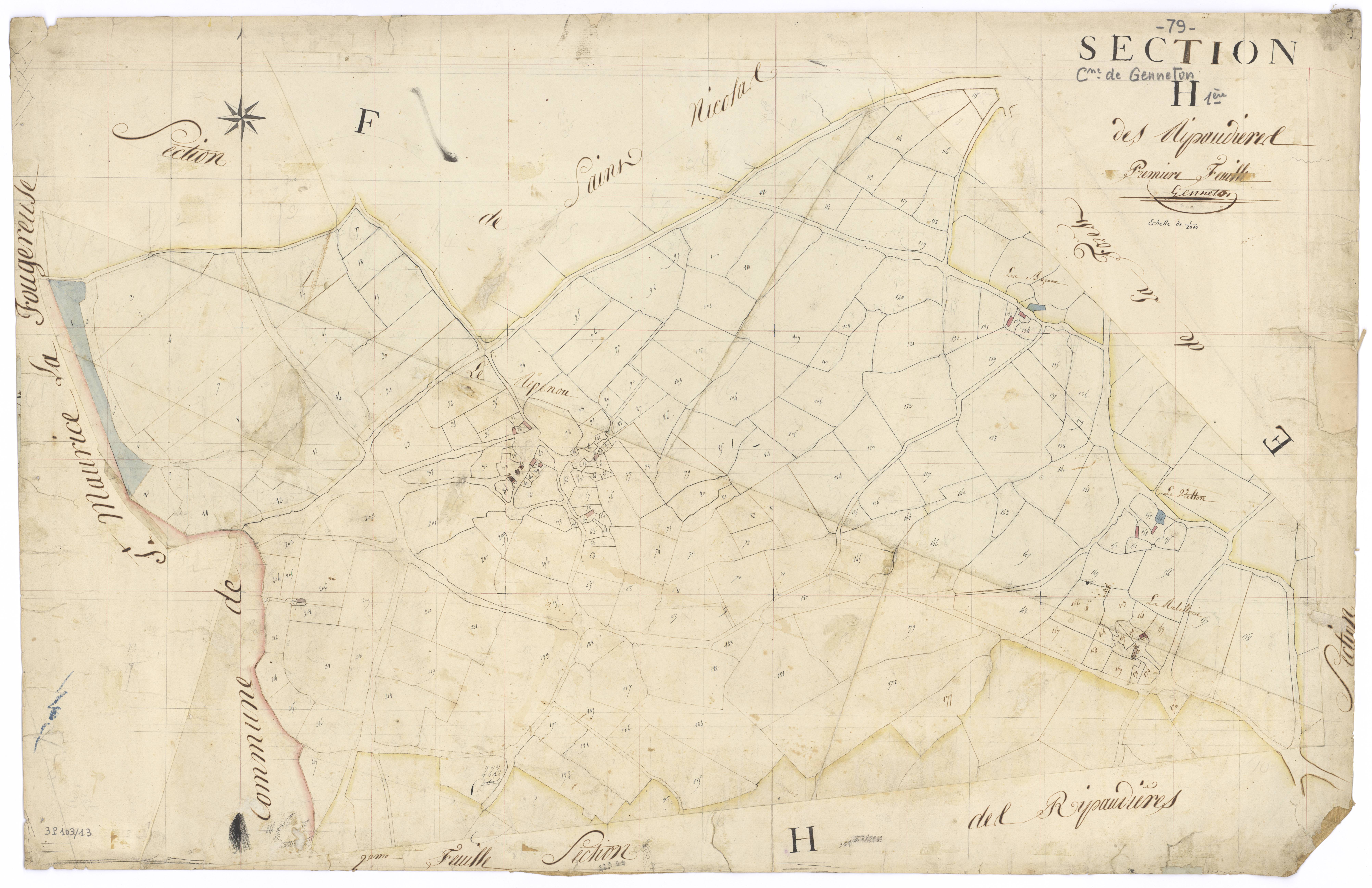 Genneton - FRAD079_CADASTRE_NAPOLEONIEN Section H1 dite des Ripaudières