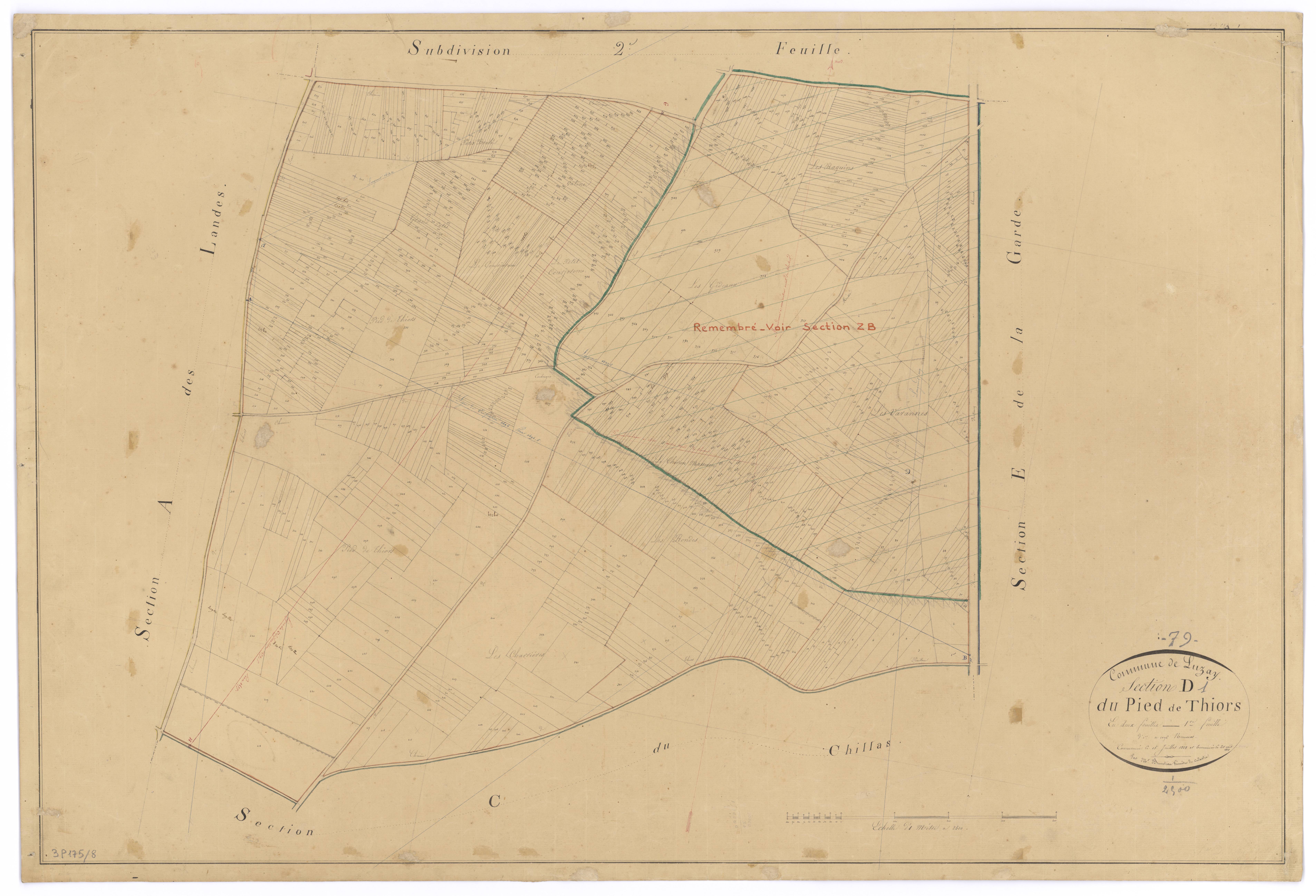 Luzay - FRAD079_CADASTRE_NAPOLEONIEN Section D1 dite du Pied de Thiors