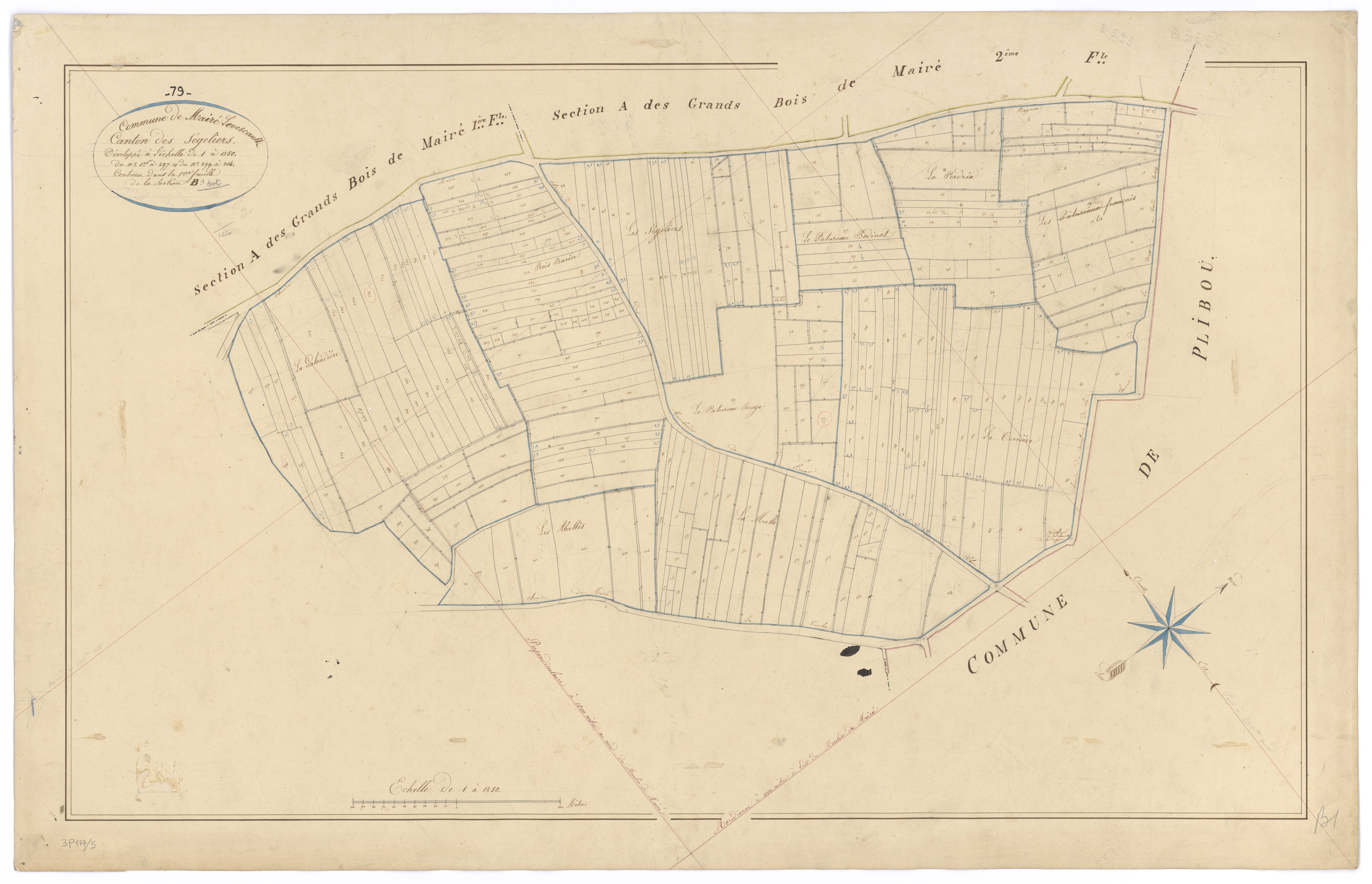 Mairé-Levescault - FRAD079_CADASTRE_NAPOLEONIEN Développement de la section B1 