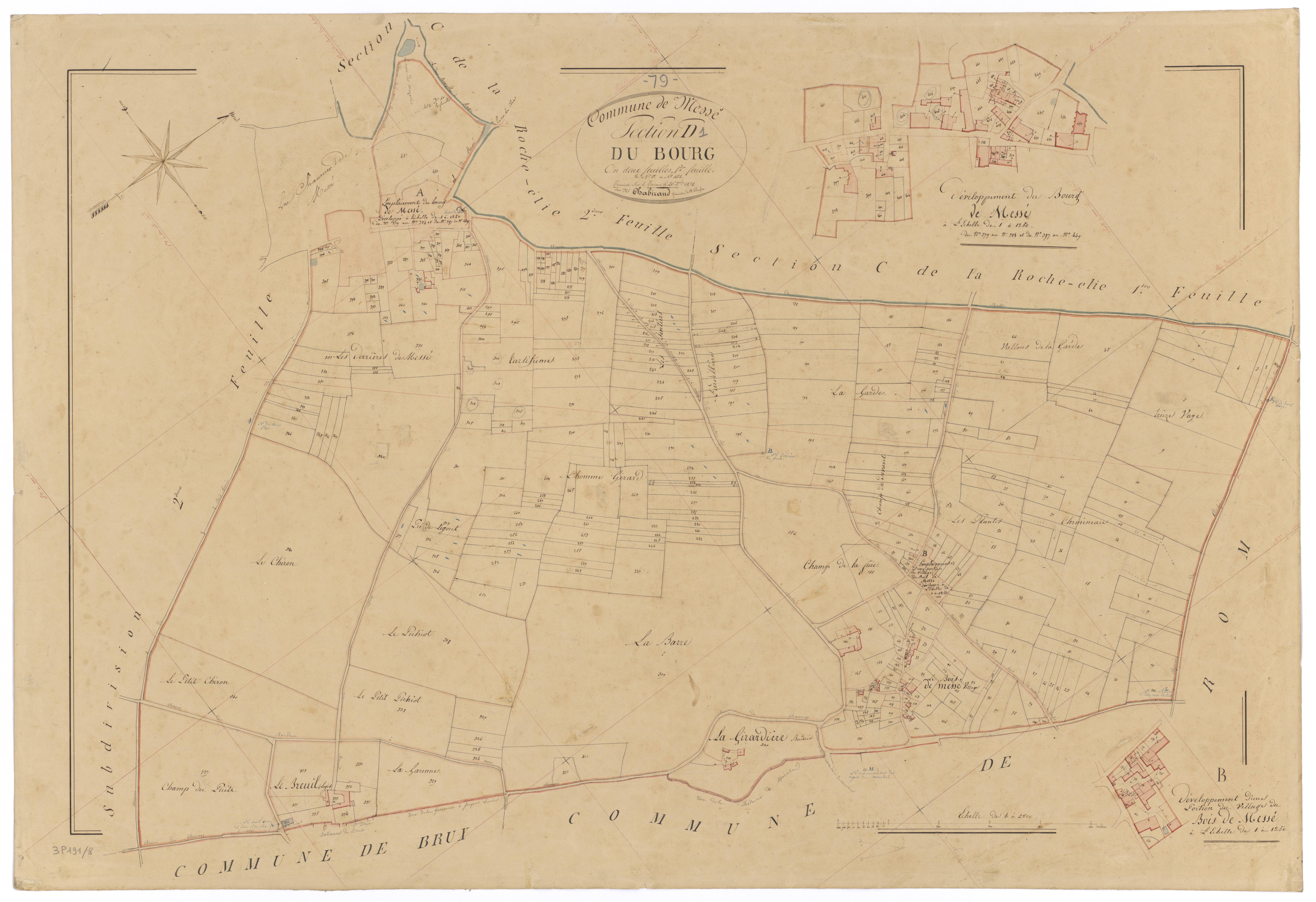 Messé - FRAD079_CADASTRE_NAPOLEONIEN Section D1 dite du Bourg 