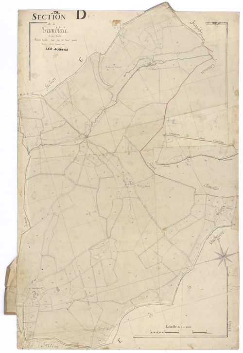 Nueil-les-Aubiers - FRAD079_CADASTRE_NAPOLEONIEN Section D1 dite de La Tremblaie 