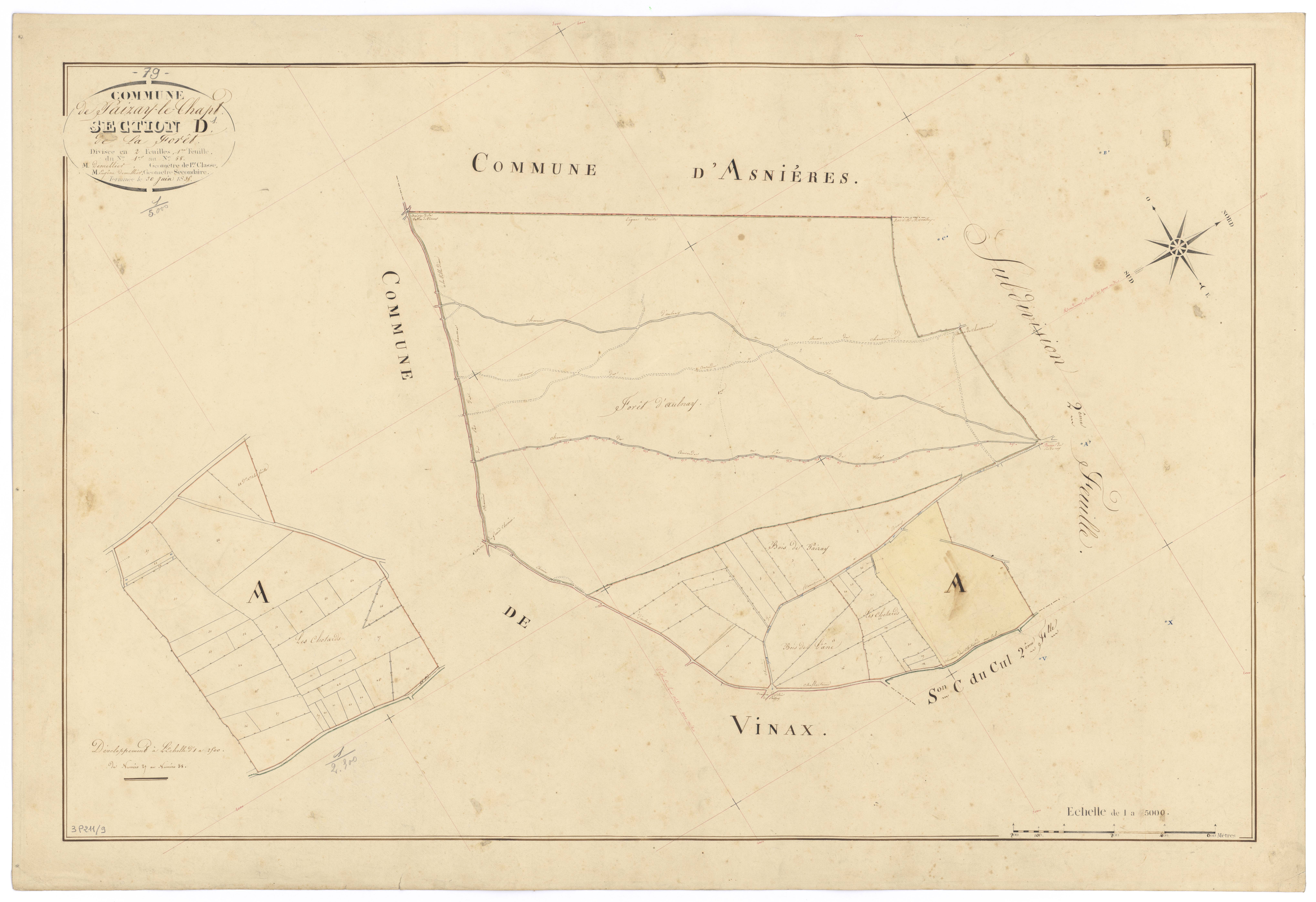 Paizay-le-Chapt - FRAD079_CADASTRE_NAPOLEONIEN Section D1 dite de la Forêt