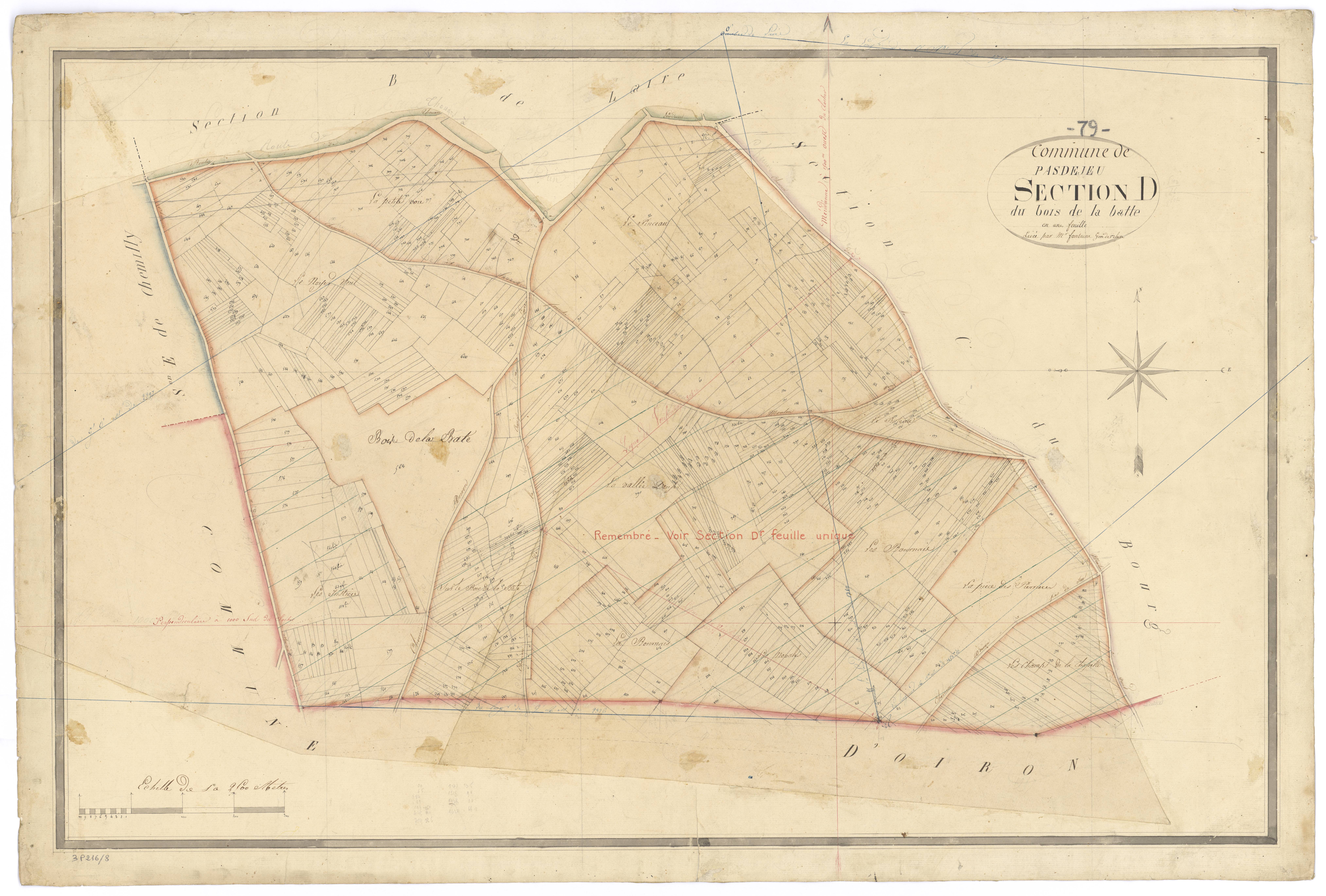 Pas-de-Jeu - FRAD079_CADASTRE_NAPOLEONIEN Section D dite du Bois de la Batte