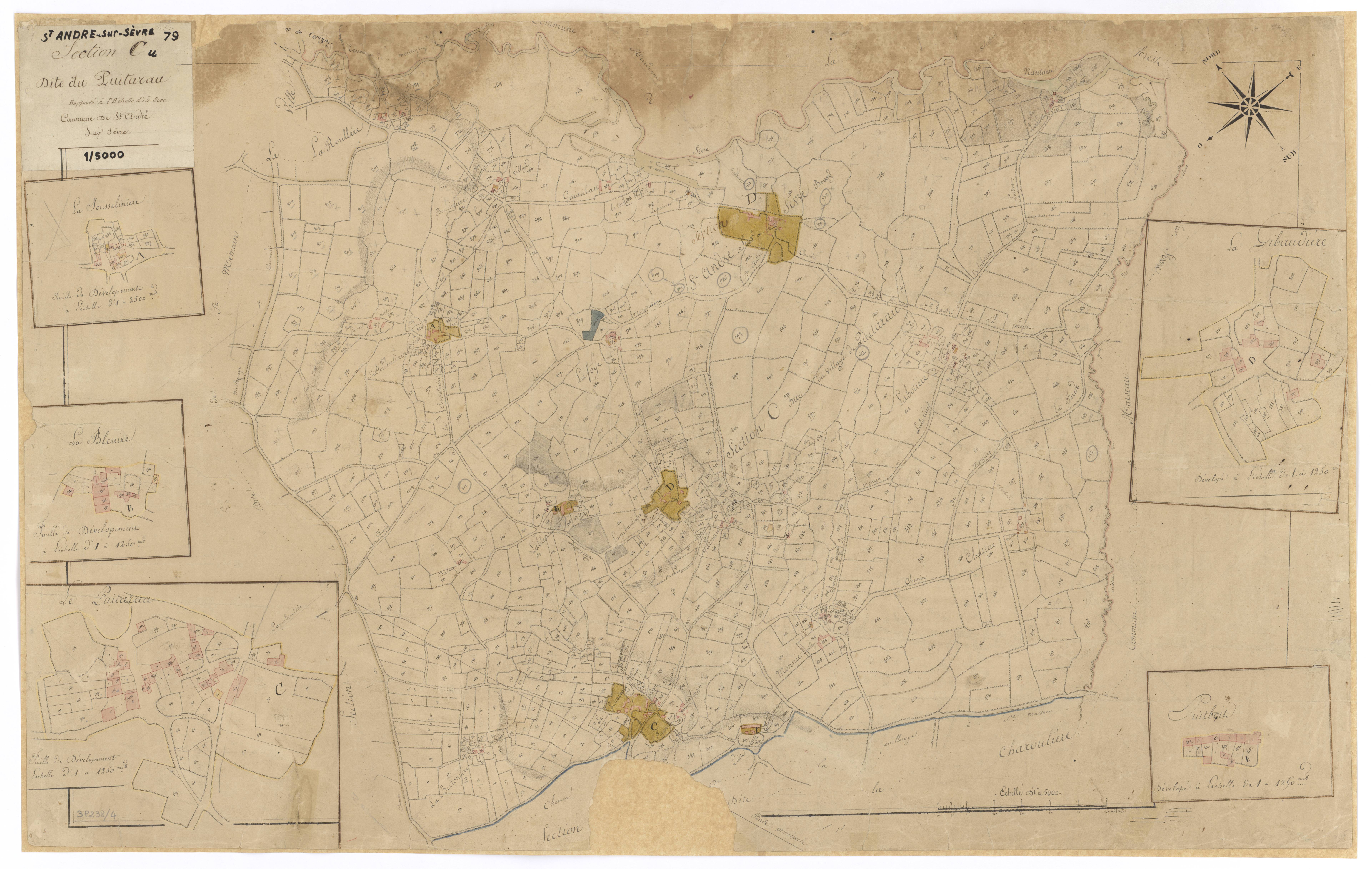 Saint-André-sur-Sèvre - FRAD079_CADASTRE_NAPOLEONIEN Section C dite de Puitarau