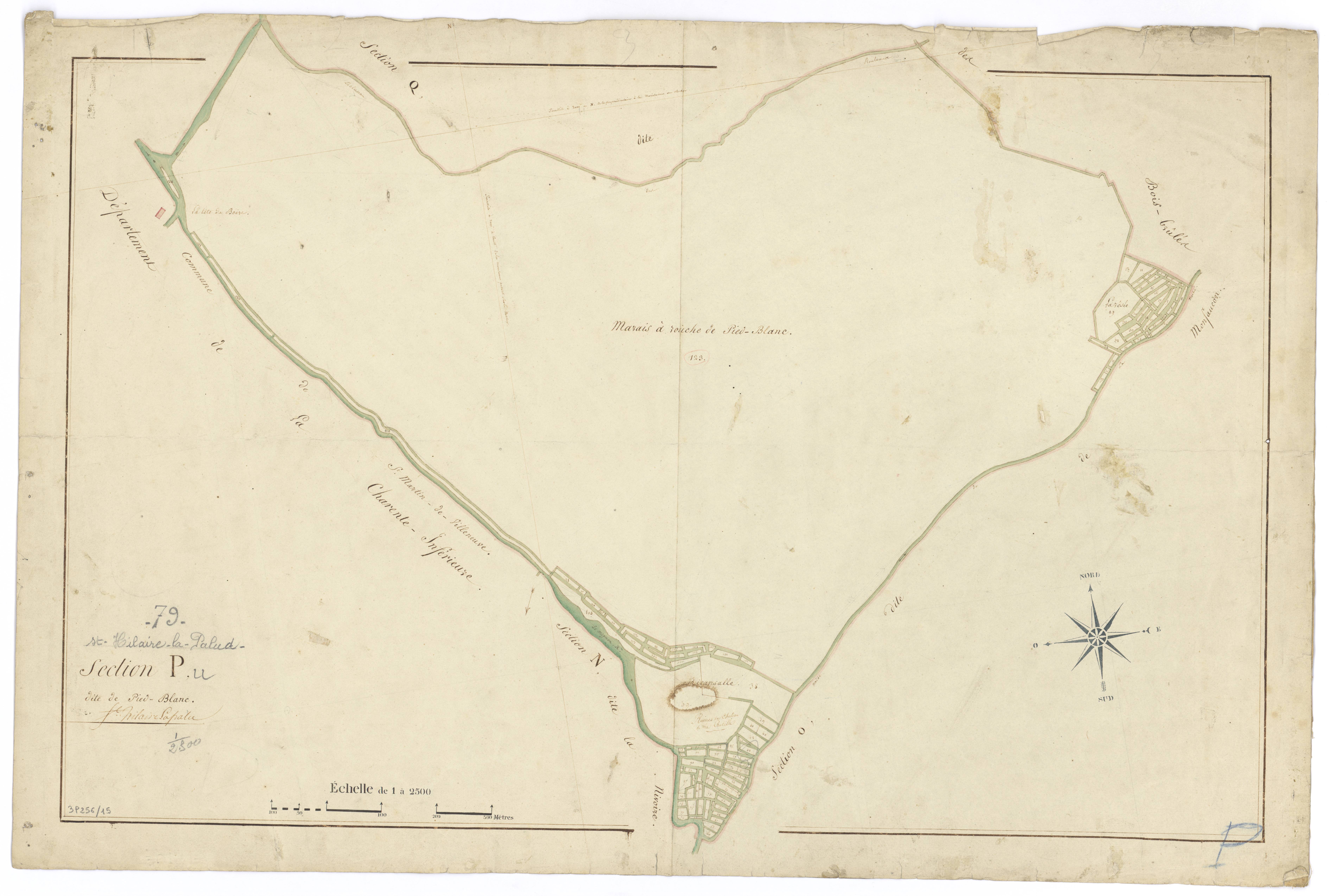 Saint-Hilaire-la-Palud - FRAD079_CADASTRE_NAPOLEONIEN Section P dite de Pied-Blanc 