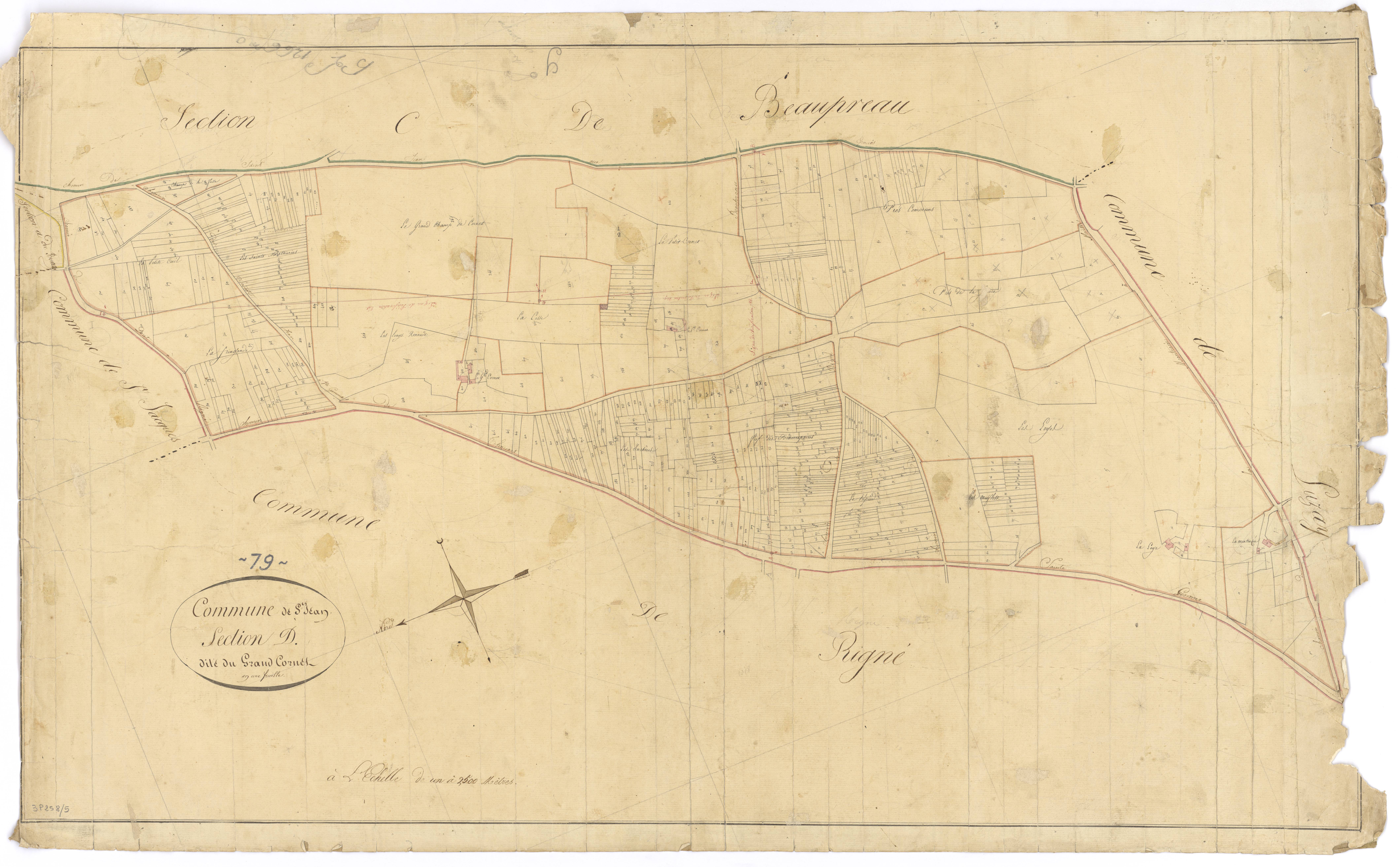 Saint-Jean-de-Thouars - FRAD079_CADASTRE_NAPOLEONIEN Section D dite du Grand Cornet