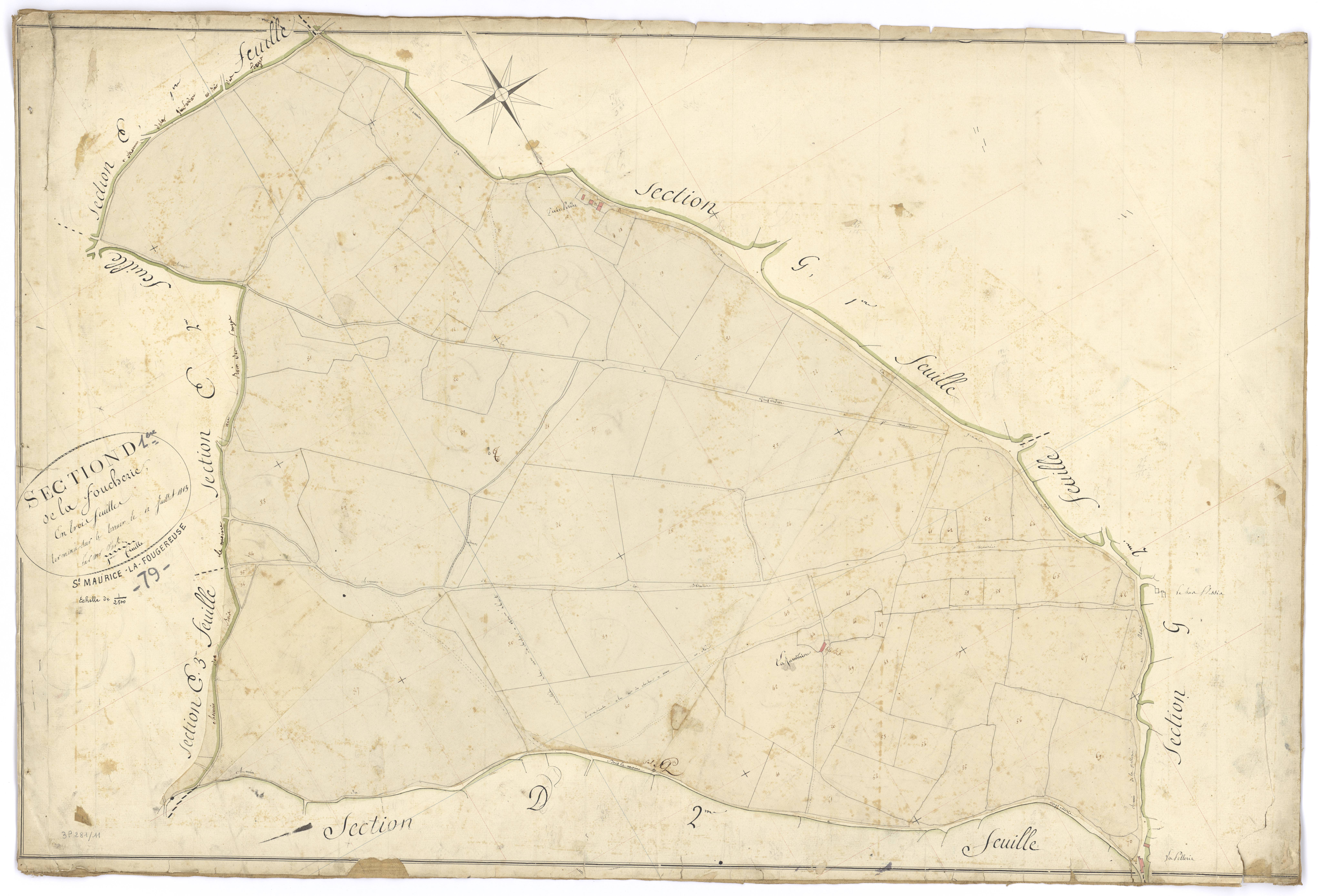 Saint-Maurice-la-Fougereuse - FRAD079_CADASTRE_NAPOLEONIEN Section D1 dite de la Foucherie