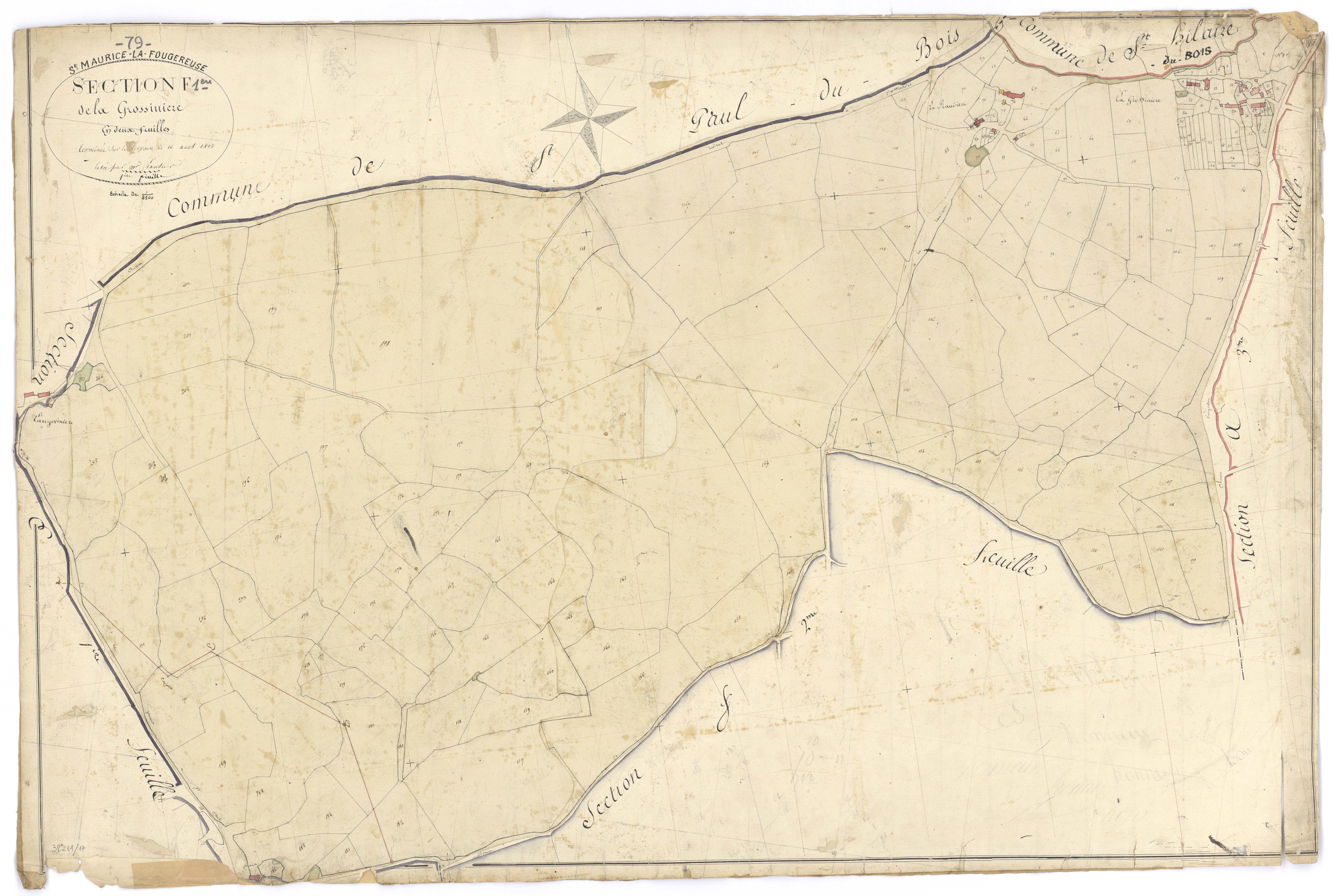Saint-Maurice-la-Fougereuse - FRAD079_CADASTRE_NAPOLEONIEN Section F1 dite de la Grossinière