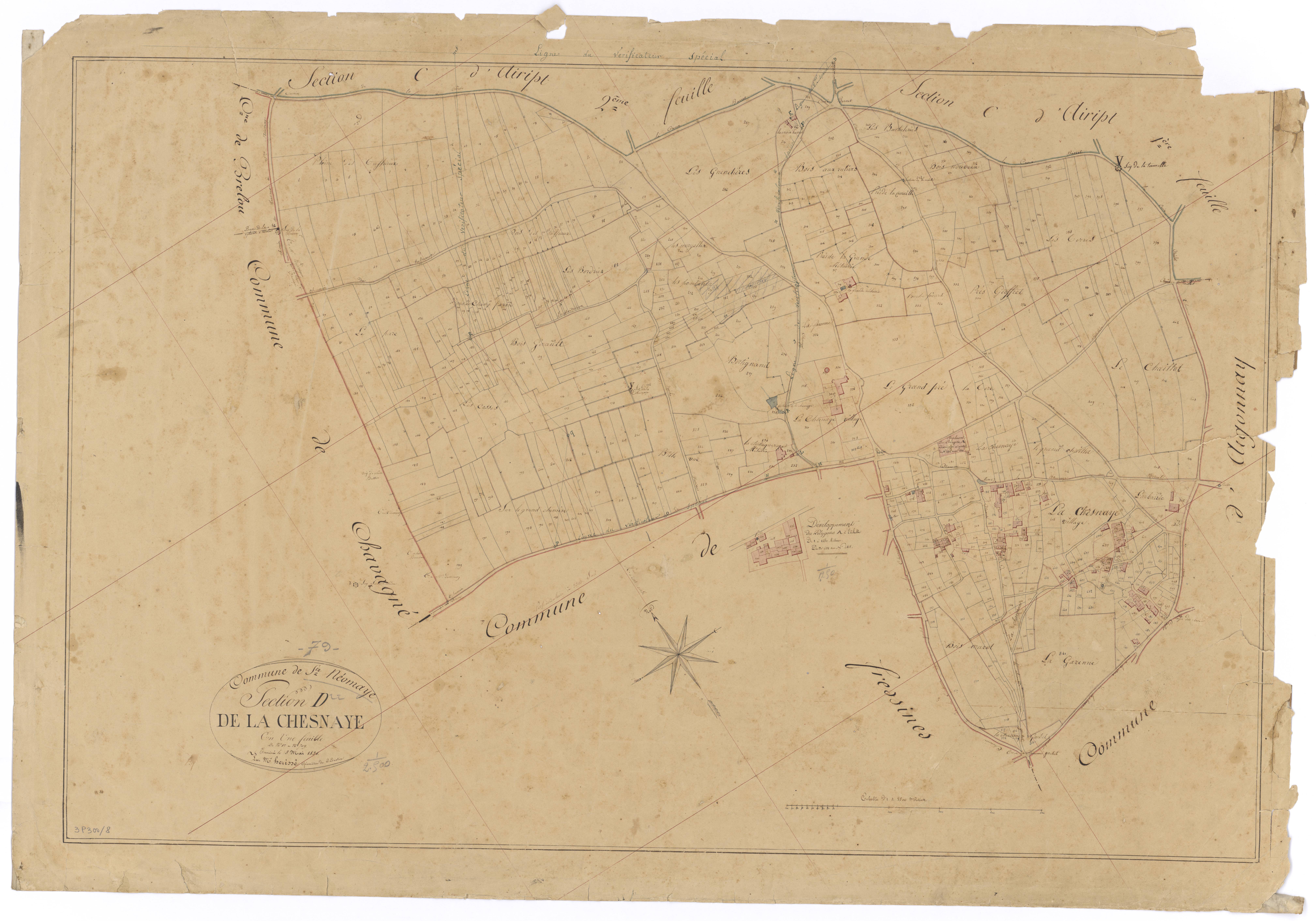 Sainte-Néomaye - FRAD079_CADASTRE_NAPOLEONIEN Section D dite de la Chesnaye